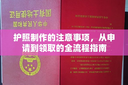 永修护照制作的注意事项，从申请到领取的全流程指南