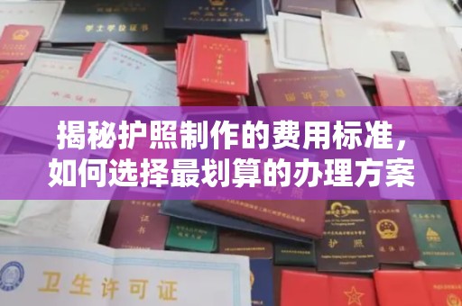 永修揭秘护照制作的费用标准，如何选择最划算的办理方案？