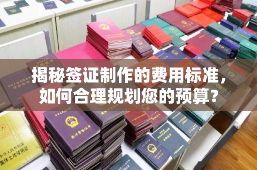 永修揭秘签证制作的费用标准，如何合理规划您的预算？