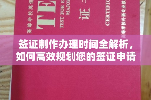 永修签证制作办理时间全解析，如何高效规划您的签证申请流程
