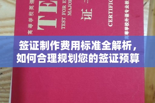 永修签证制作费用标准全解析，如何合理规划您的签证预算？
